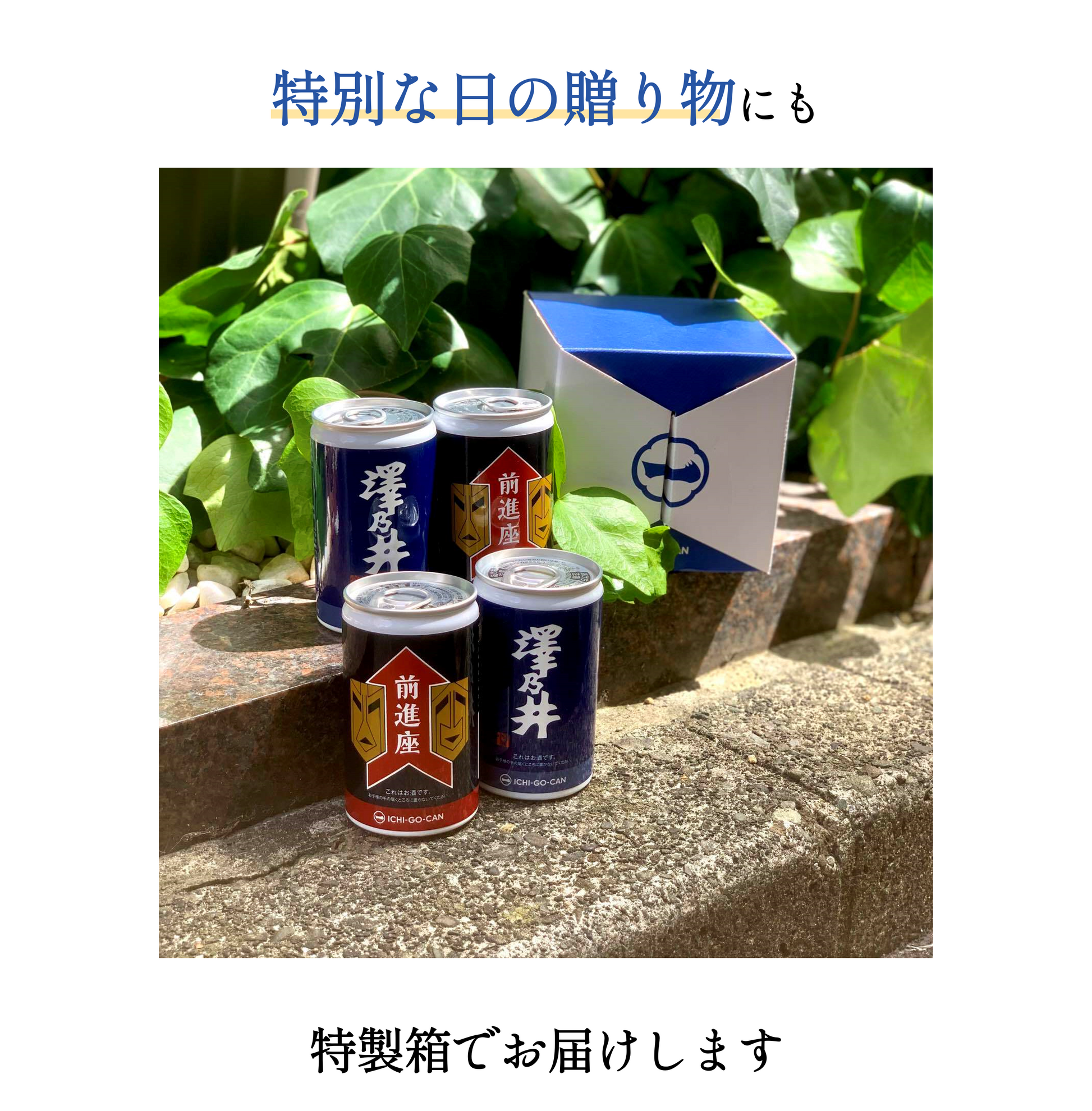 毎週 火・金 配送】「前進座×ICHI-GO-CAN」夢のコラボ日本酒缶 4本包箱